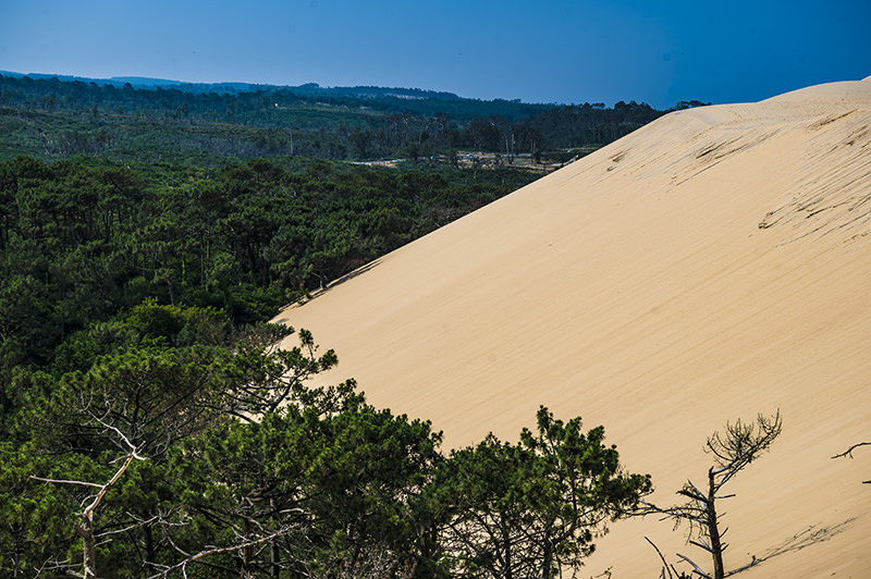 Vue sur la Dune du Pilat