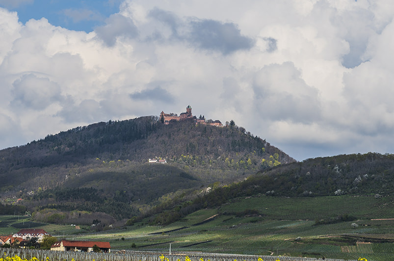 Château du Haut-Kœnigsbourg