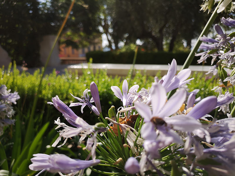 Impression de Grasse