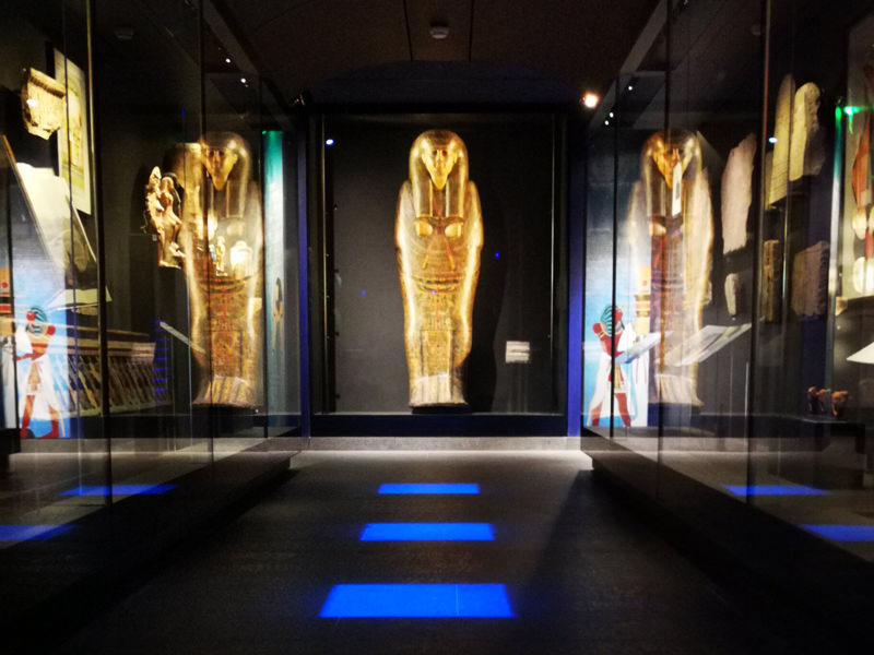 Expositions au MACM