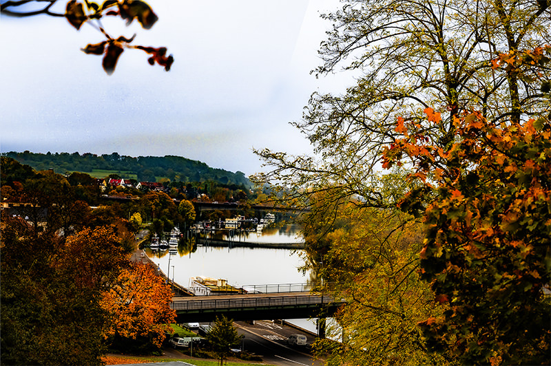 Rives du Main à Aschaffenburg en automne