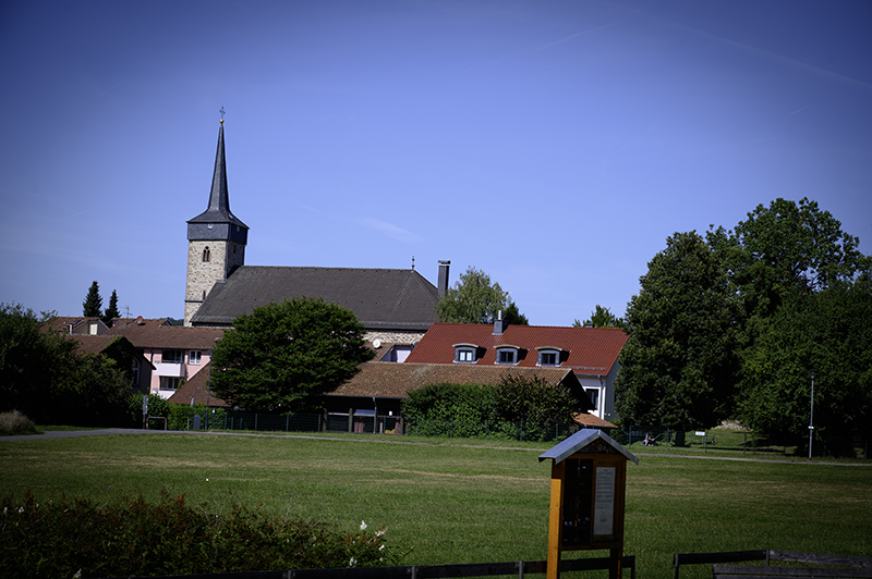 Prairie, église, arbres