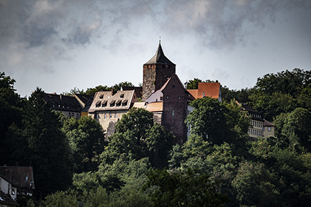 Reisekutsche, Bäume, Reisende | © Bert Schwarz 2021