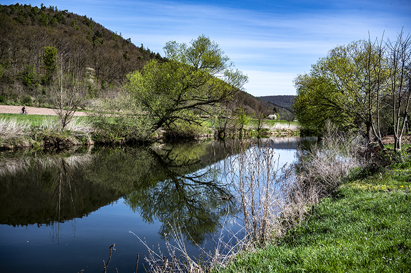 Fluss, Bäume, Spessart | © Bert Schwarz 2025