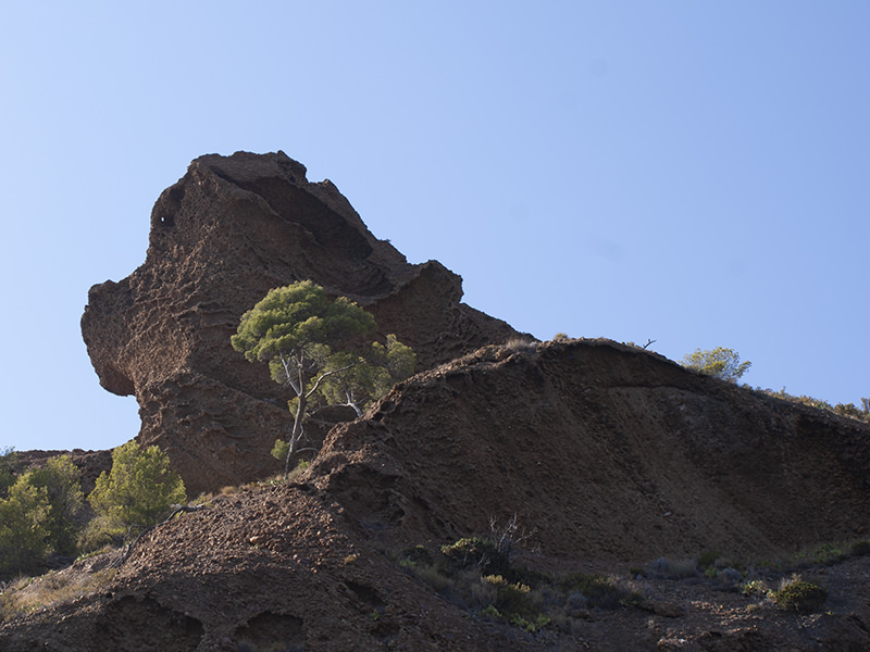 Felsen, Bec de l’Aigle, Ciotat | © Bert Schwarz 2016