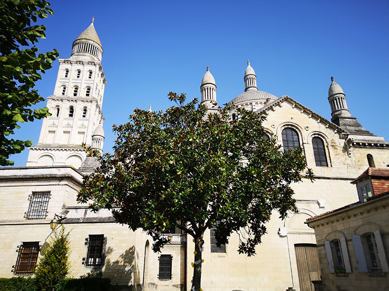 Baum, Kathedrale, Périgueux | © Bert Schwarz 2019