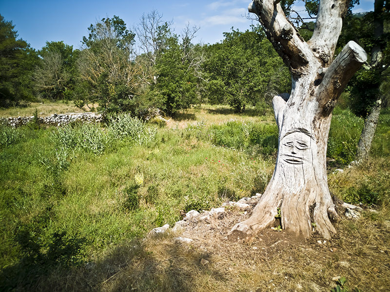 Paysage Baume Obscure | © Bert Schwarz 2020