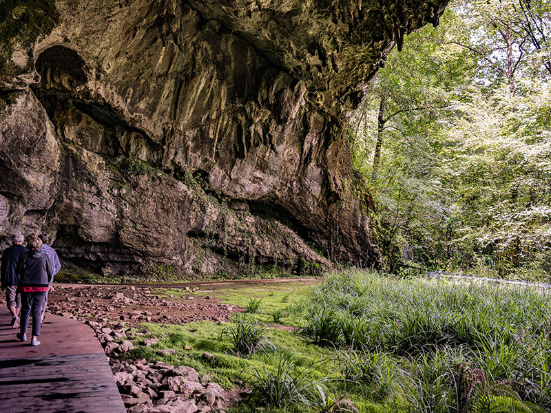 Entrée de la grotte de Sare | © Bert Schwarz 2023