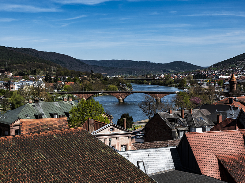 Vue sur Miltenberg vers le Spessart | © Bert Schwarz 2025