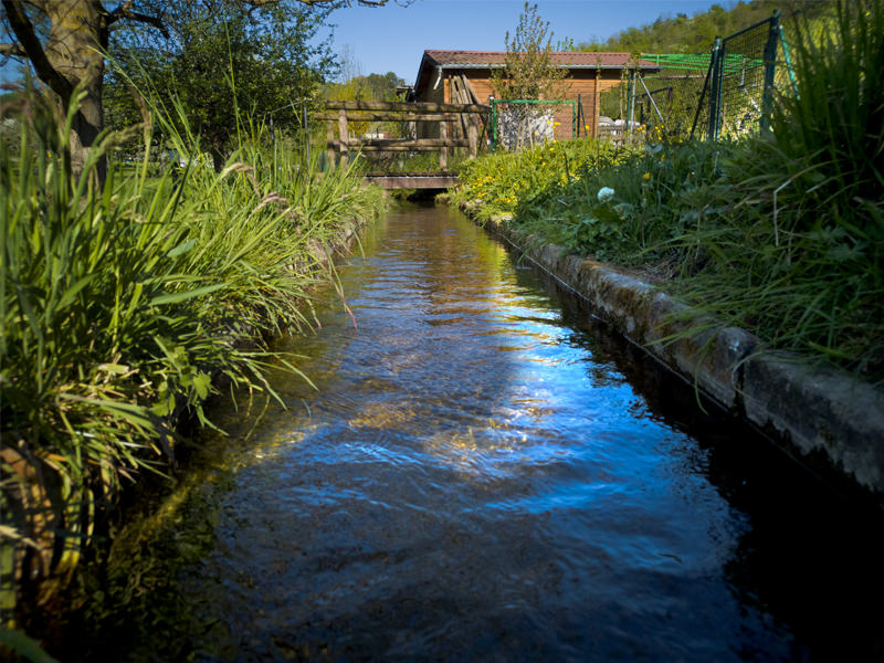 Moulin à papier de Homburg | © Bert Schwarz 2021
