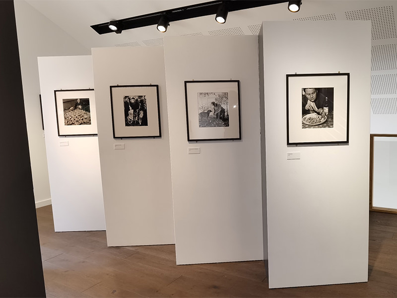 Ausstellung, Fotografien | © Bert Schwarz 2020