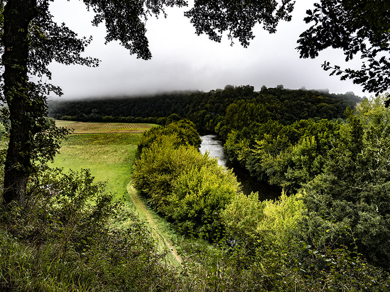 Fluss, Vézère, Wiesen, Wald | © Bert Schwarz 2021