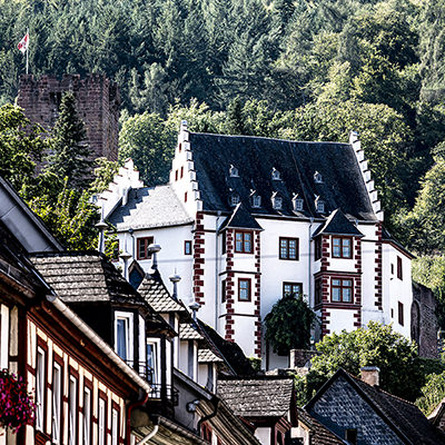 Le château face aux rochers et à la forêt, Miltenberg | © Bert Schwarz 2025