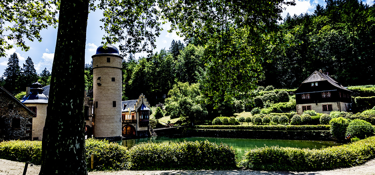 Château entouré d'eau, forêt et collines dans le Spessart