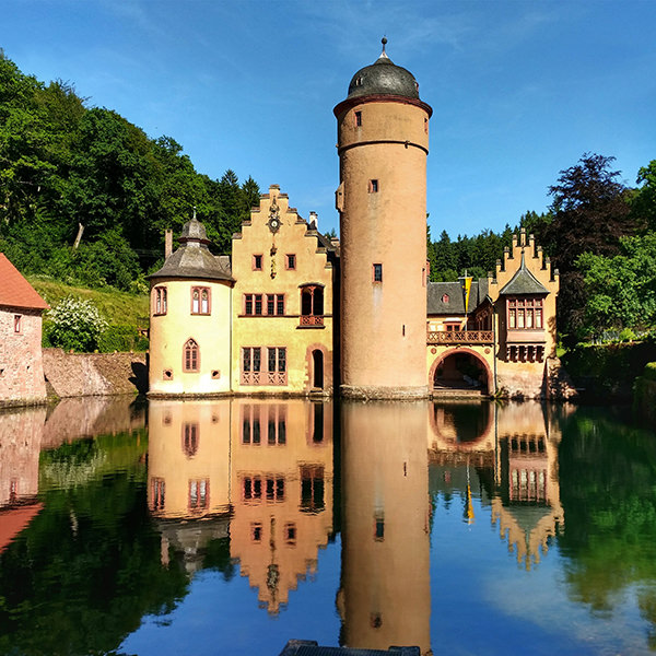 Schloss, See, Wald | © Bert Schwarz 2024