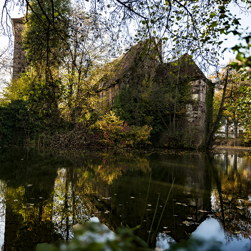 Burg, Wald | © Bert Schwarz 2024