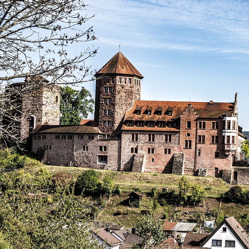 Burg, Wald | © Bert Schwarz 2024